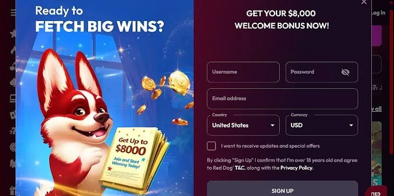 The sign up process from start to finish
