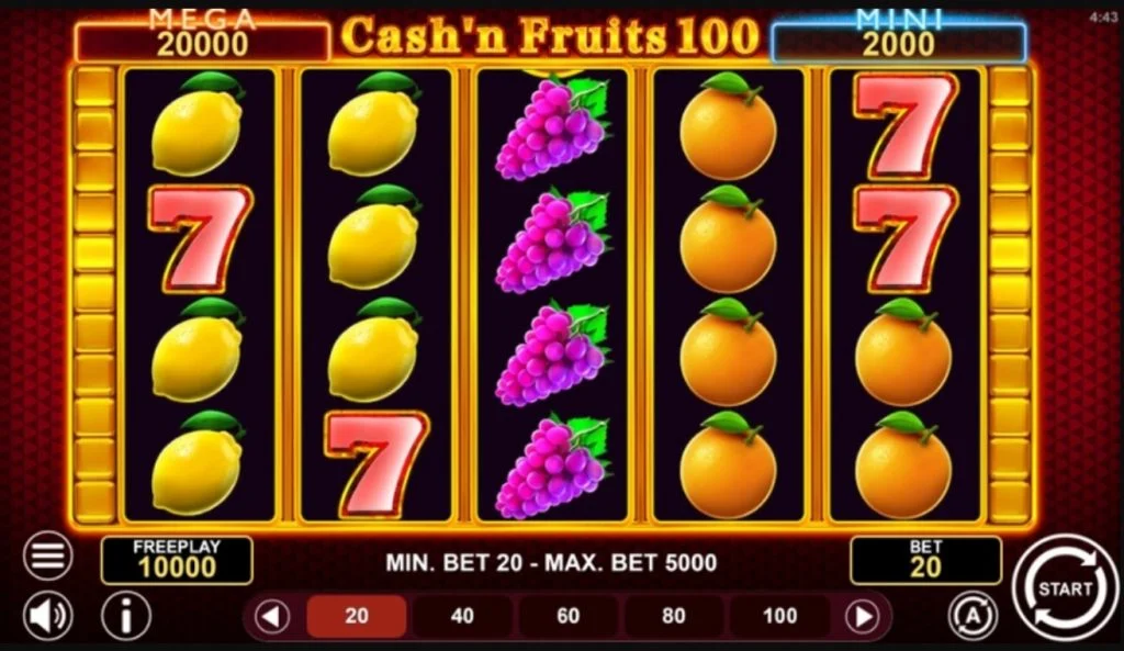 Cash n Fruits 100 Hold Win Game