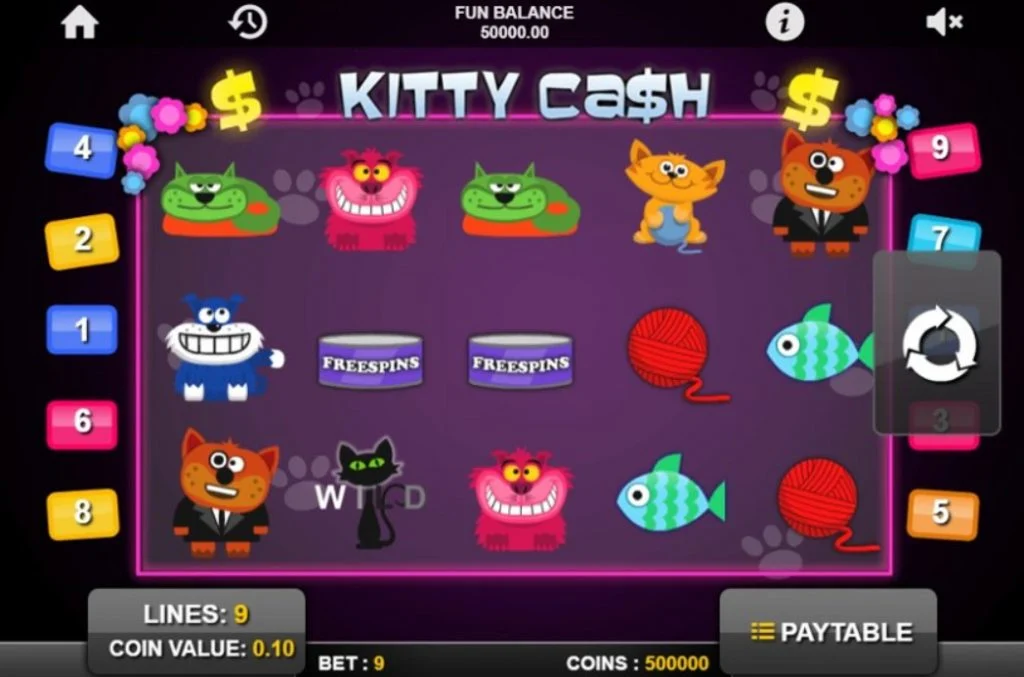 Kitty Cash