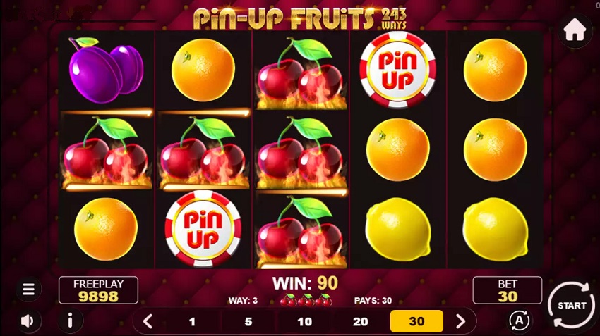 Pin Up Fruits 243 Game 1