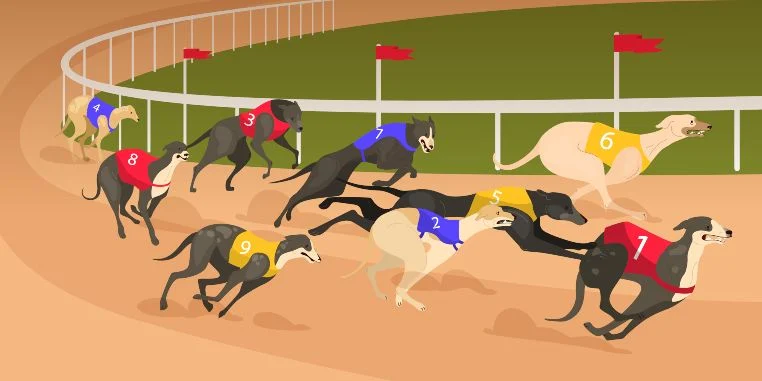 Virtual Greyhounds Game 1