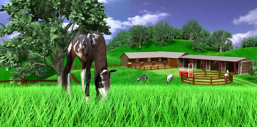 Virtual Horses Game 1