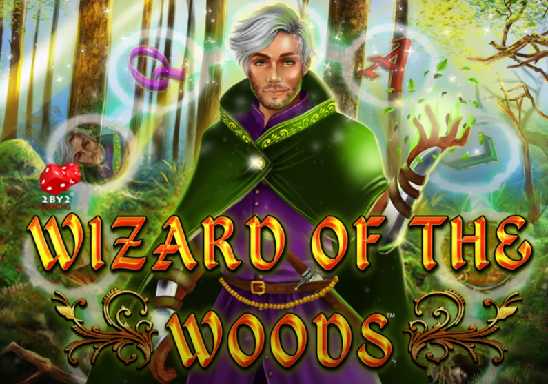 Wizard of the Woods Game