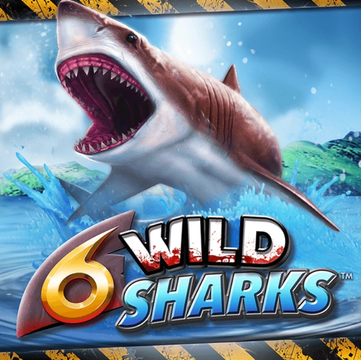 6 Wild Sharks