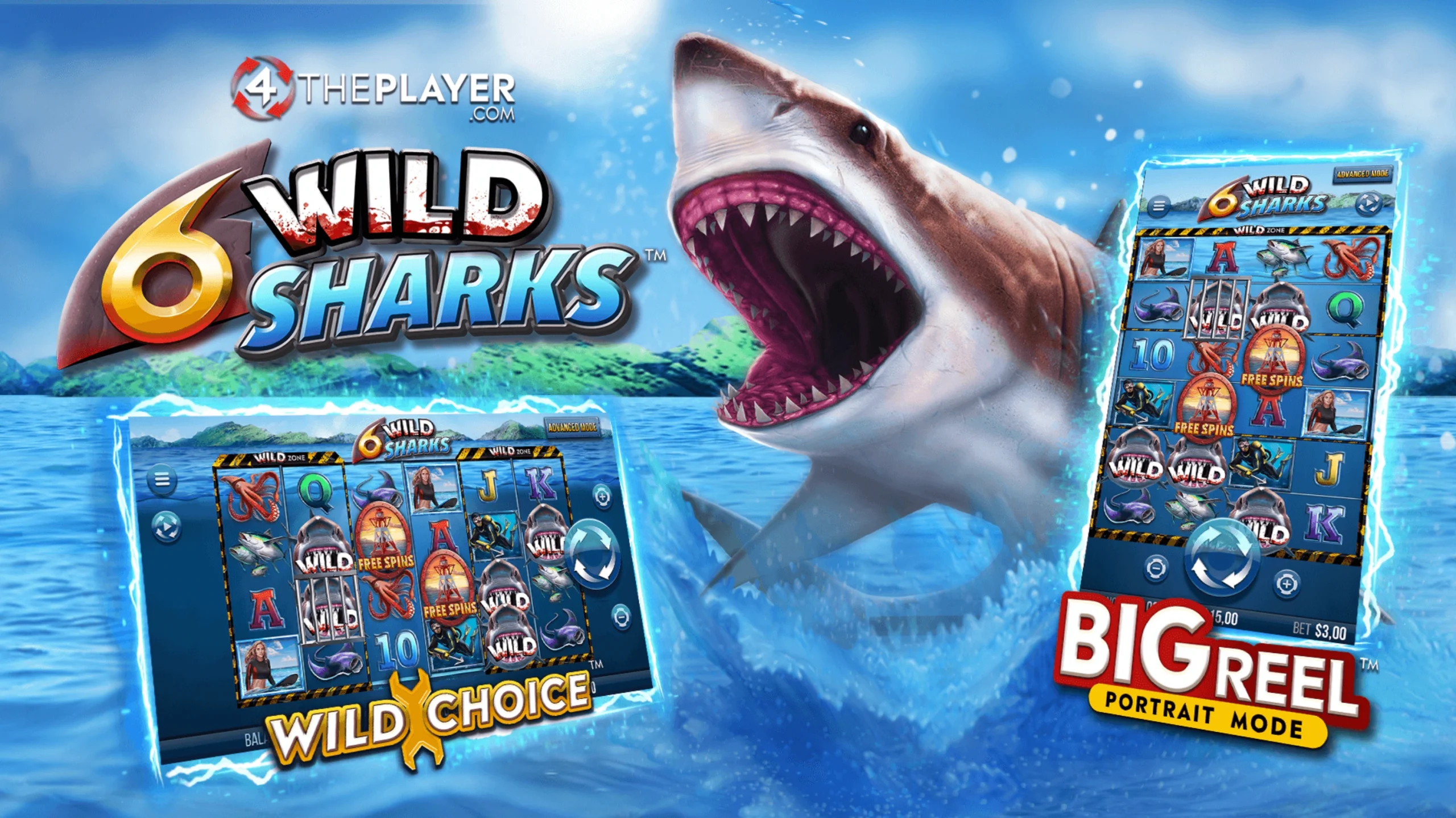 6 Wild Sharks