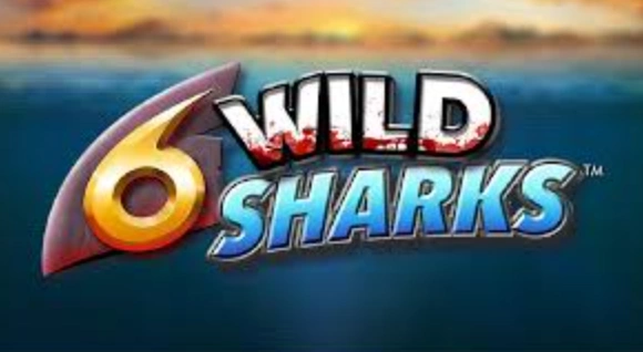 6 Wild Sharks