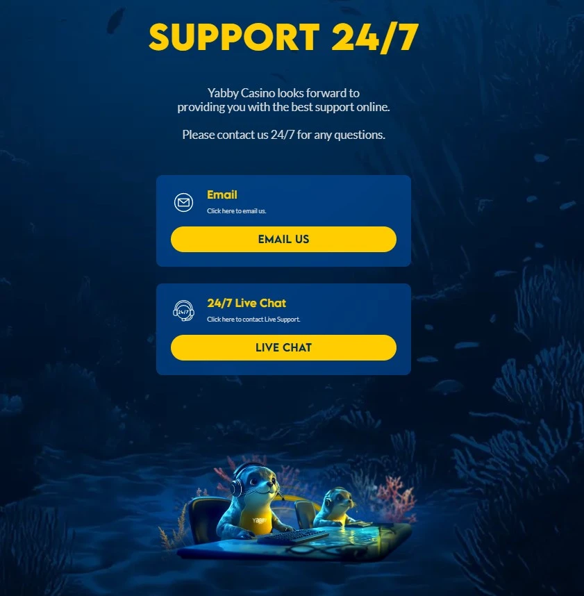 Customer support options and response times